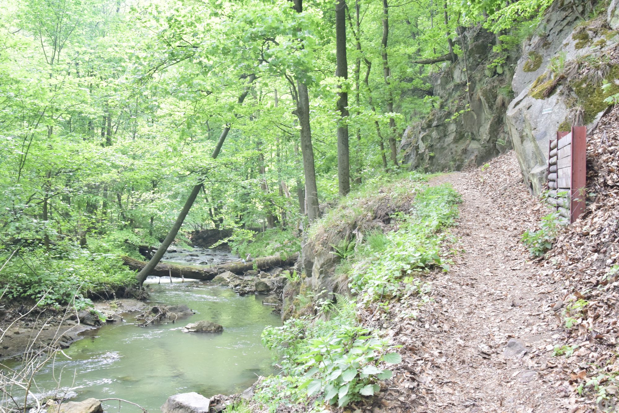 Sciezka Hochbergow 35.jpg